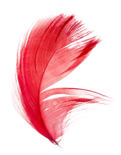 Перо